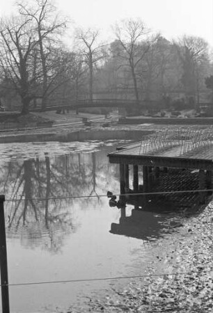 Winterstimmung im Stadtgarten