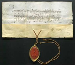 Urkunde, 1 Siegel, Großpönitentiar Giuliano della Rovere, Kardinalbischof von Sabina, erteilt der Universität Tübingen die päpstliche Erlaubnis zur Vornahme von Sektionen, 02.04.1482.