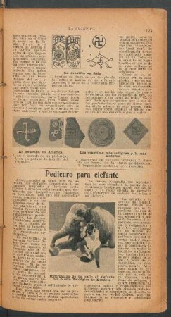 Pedicuro para elefante