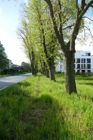 Lindenallee; Bad Nauheim, Friedberger Straße