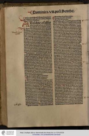 Attendite a falsis prophetis... Matthei vii et in evangelio hodierno. Verba sunt salvatoris nostri Iesu qui in hoc evangelio insinuat triplicem differentiam malorum christianorum...