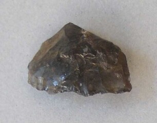 Stein