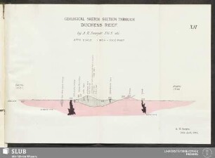XII. Geological sketch-section through Duchess Reef