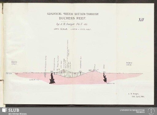 XII. Geological sketch-section through Duchess Reef