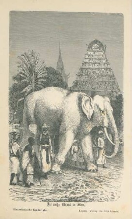 Der weiße Elefant in Siam