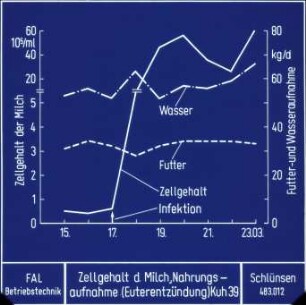 Zellgehalt der Milch, Nahrungsaufnahme (Euterentzündung), Kuh 39