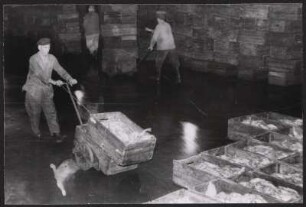 Mitarbeiter des Fischereimarktes Hamburg-Altona