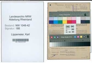 Entnazifizierung Karl Lippemeier , geb. 21.08.1901 (Landwirt)