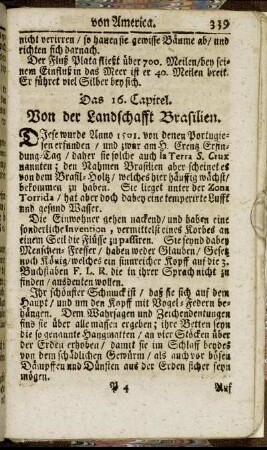 Das 16. Capitel. Von der Landschafft Brasilien.