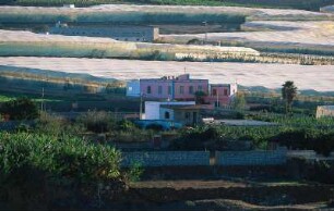 Spanien. Gran Canaria. Galdar. Bananenplantagen