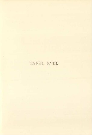 Tafel XVIII.