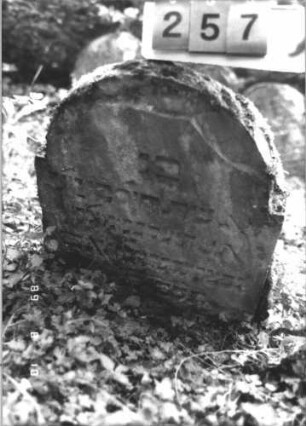 Grabstein 257 (Index: 99799911) Material: Sandstein Zustand: angeschlagen, verwittert, teilw. eingesunken Maße HxBxT: 77x56x8 cm Beschreibung: Stele, eingezogener Rundbogenabschluß: Grabstein 257