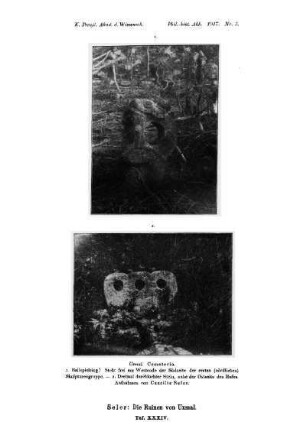 Taf. XXXIV. : Uxmal. Cemeterio. 1. Ballspielring? Steht frei am Westende der Südseite der ersten (nördlichen) Skulpturengruppe. - 2. Dreimal durchlochter Stein, nahe der Ostseite des Hofes. Aufnahmen von Caecilie Seler.