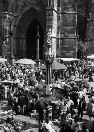 Freiburg: Münsterplatz, vom Eissalon zum Münsterportal und Georgsbrunnen