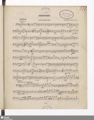 Contrabasso.