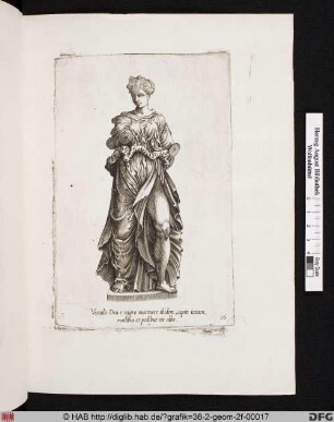 Vesta.