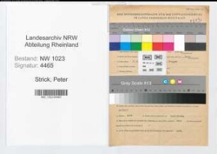 Entnazifizierung Peter Strick , geb. 21.03.1895 (Gem.Sekretaer)