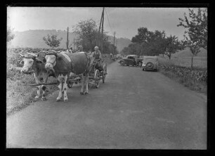 Verkehrsunfall zwischen zwei PKWs (Kennzeichen IIU - 19039), im Vordergrund Ochsengespann