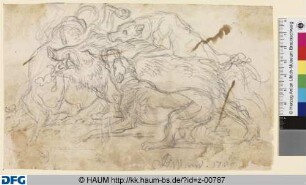 Eber, von Hunden angefallen
