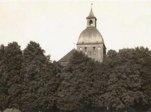 Ribnitz-Damgarten. Stadtkirche mit Linden