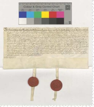 Die Kämmerer Franz Witzendorff und Ludolf Ditmer bekunden eine Schadloserklärung anlässlich des Todes des in Hamburg verstorbenen Wilhelm Schröders.