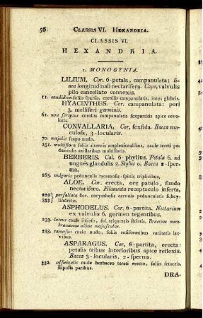 Classis VI. Hexandria.
