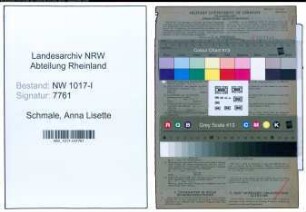 Entnazifizierung Anna Lisette Schmale , geb. 04.11.1907 (Saeuglingsschwester)