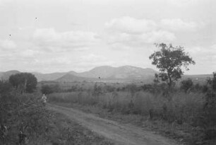 Blick vom Rasthaus : Blick in eine Landschaft mit Weg, Bäumen und Bergen. Auf dem Weg ein Mann