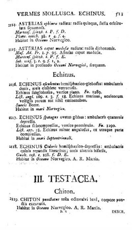 III. Testacea