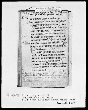 Kalendar - Psalterium - Hymnar (Benediktinerhandschrift) — Hund, Folio 51verso