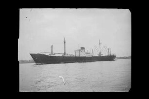 Brandenstein (1952), Frachtschiff, Roland-Linie Schiffahrts GmbH, Bremen, Bau-Nr. 822