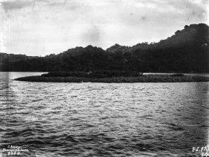 Insel in einem Gewässer : Blick auf eine Insel in einem Gewässer
