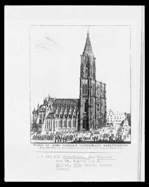 Straßburg, Anischt des Münsters von Nord-Westen