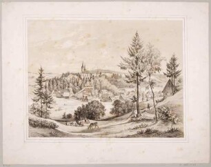 Neuhausen im Erzgebirge mit Schloss Purschenstein und Kirche von Süden