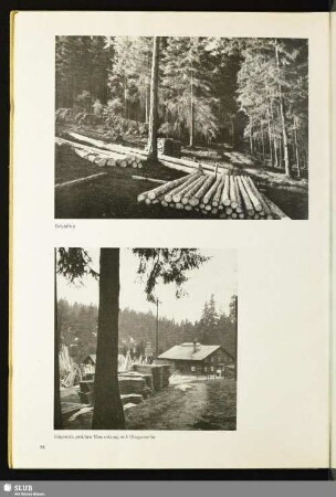 Sägewerk zwischen Rautenkranz und Morgenröthe
