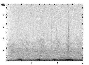Rohrdommel | Botaurus stellaris - Gesang