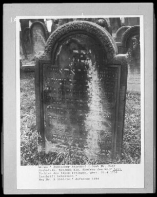 Grabstein von Rebekka Ela Levi, Ehefrau des Wolf Levi (+ 1758.04.21)