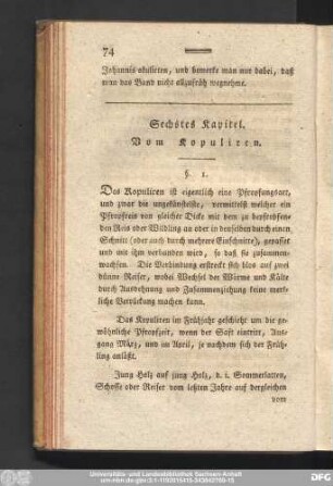 Sechstes Kapitel. Vom Kopuliren.