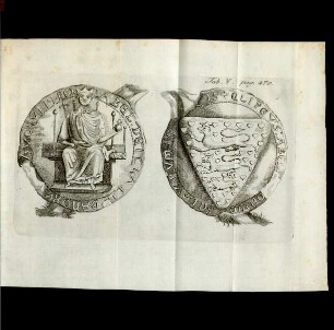 Tab. V. pag. 270