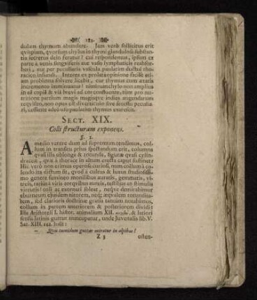 Sect. XIX. Colli structuram exponens.