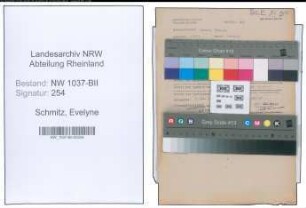 Entnazifizierung Evelyne Schmitz , geb. 01.03.1901 (Lehrerin)