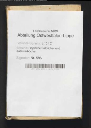 Salbuch des Fleckens Schwalenberg von 1781
