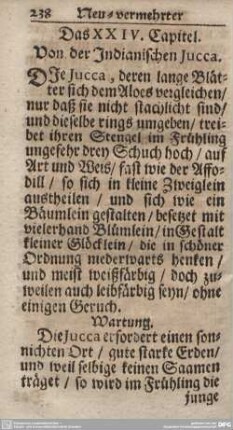 Das XXIV. Capitel. Von der Indianischen Jucca.