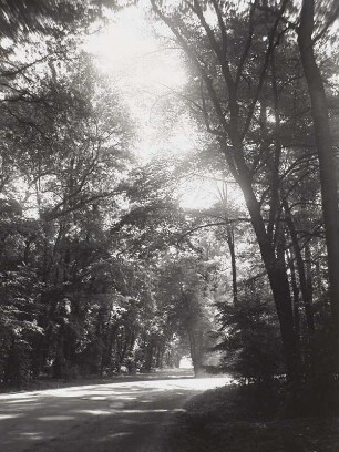 Park Rosental