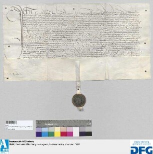 Lizentiat Johann Protzer von Nordling tritt auf drei Jahre in die Dienste der Stadt Nürnberg.