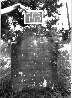 Grabstein 743 (Index: 100104763) Material: Sandstein Zustand: durch Flechten bewachsen, angewittert Maße HxBxT: 98x62x9 cm Beschreibung: Stele, eingezogener Rundbogenabschluss, Schriftfeld mit Konvexbogenabschluss, durch Rille abgeteilt: Grabstein 743