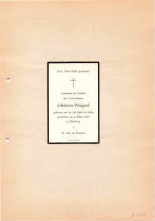 Wiegard, Johannes