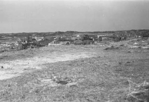 Siedlung in den Dünen : Dünenlandschaft mit einer Siedlung bei Amsterdam