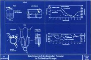 Reaktionsverlauf physiologischer Parameter bei Stoffwechselstörungen (nach Paul und Speckmann)