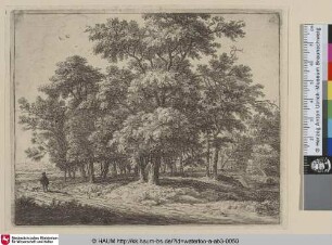 [Ein Mann mit Hund; Walker with dog near a wood]